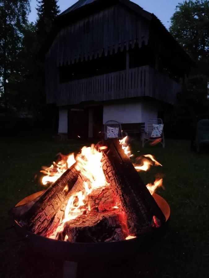 Pension Gut Trogern Eisenkappel-Vellach Extérieur photo