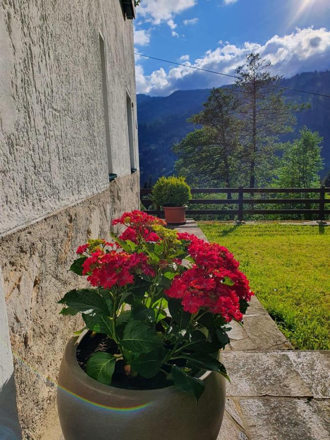 Pension Gut Trogern Eisenkappel-Vellach Extérieur photo