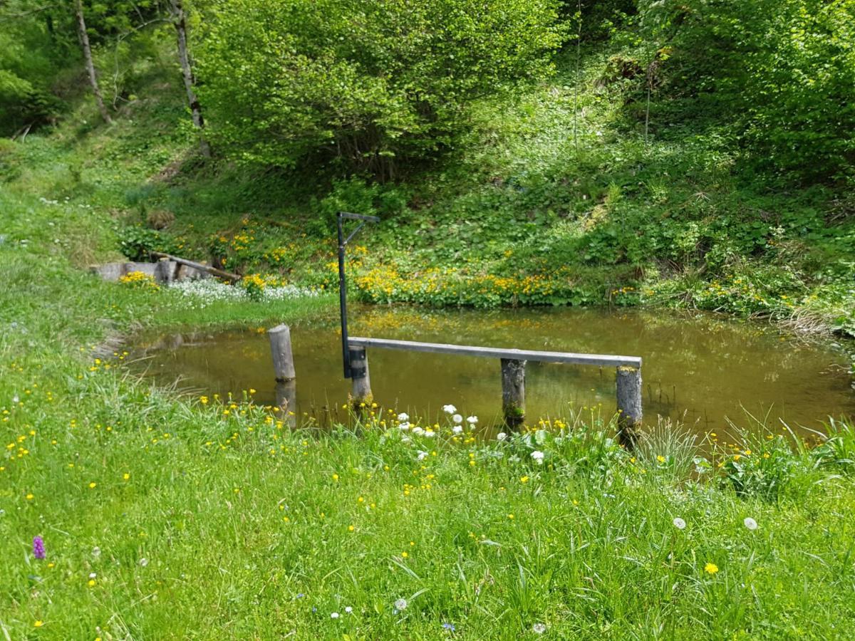 Pension Gut Trogern Eisenkappel-Vellach Extérieur photo